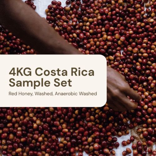 4KG Costa Rica Sample Set