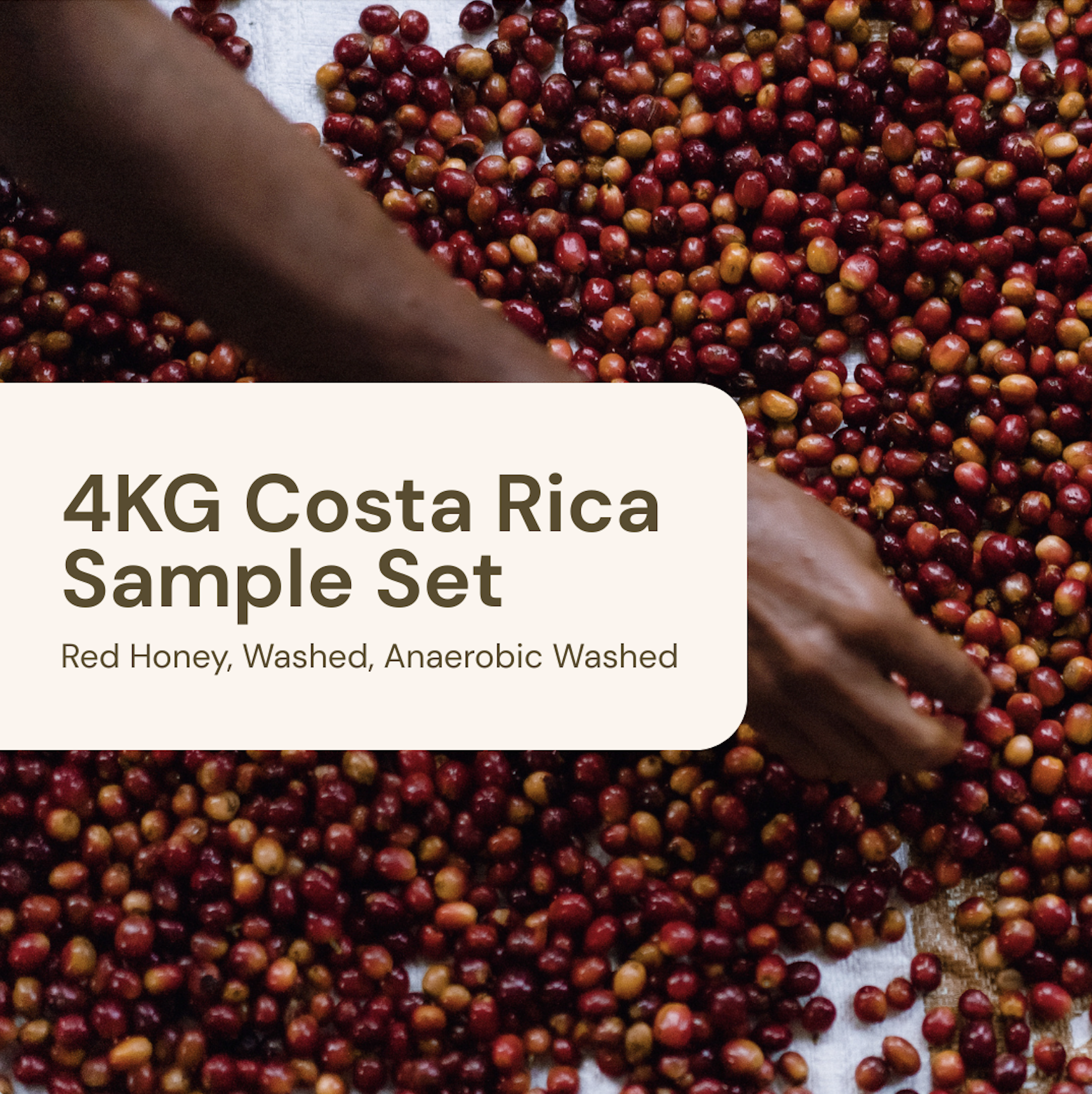 4KG Costa Rica Sample Set