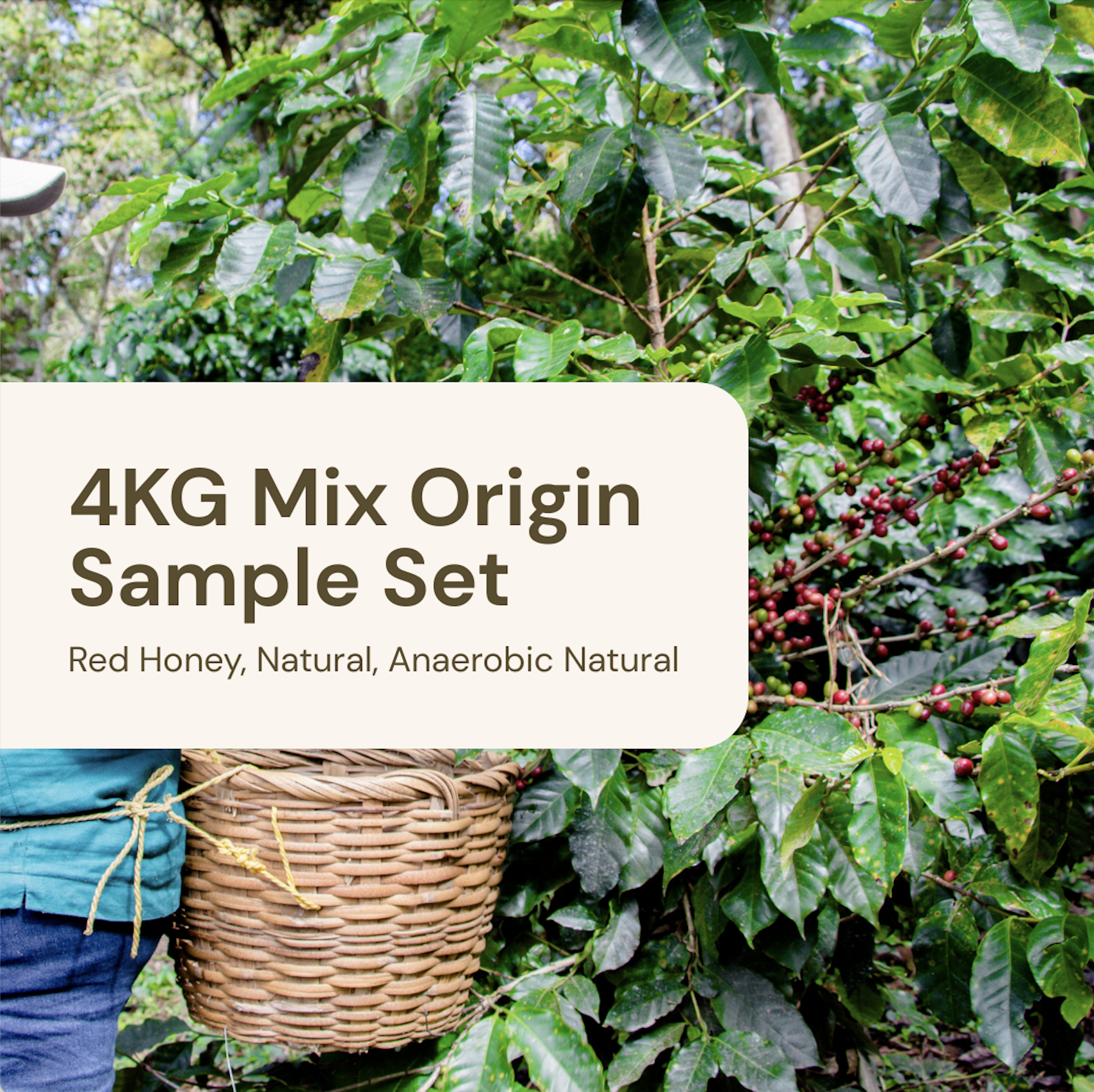 4KG Mixed Origin Sample Set
