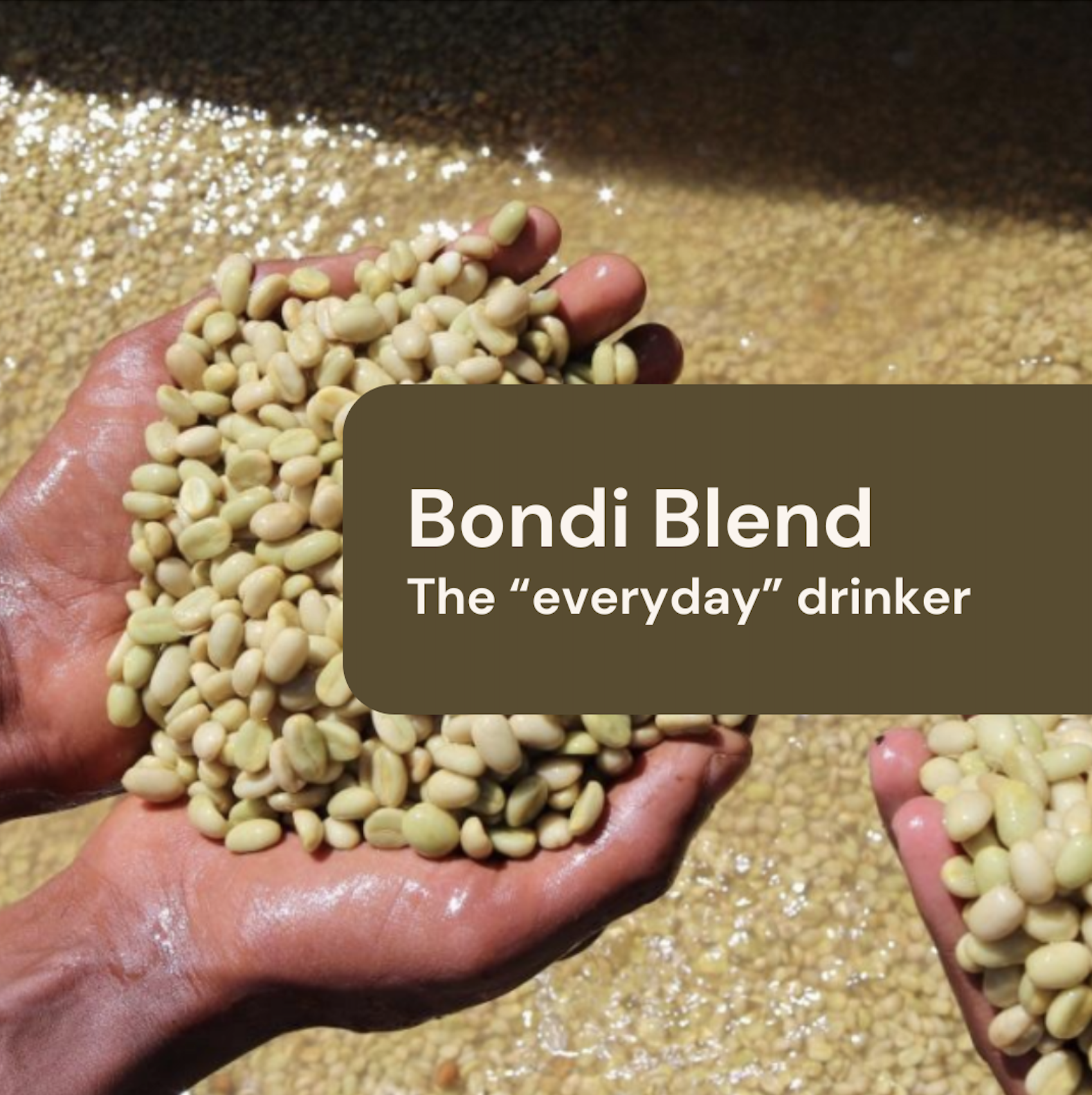 Bondi Blend