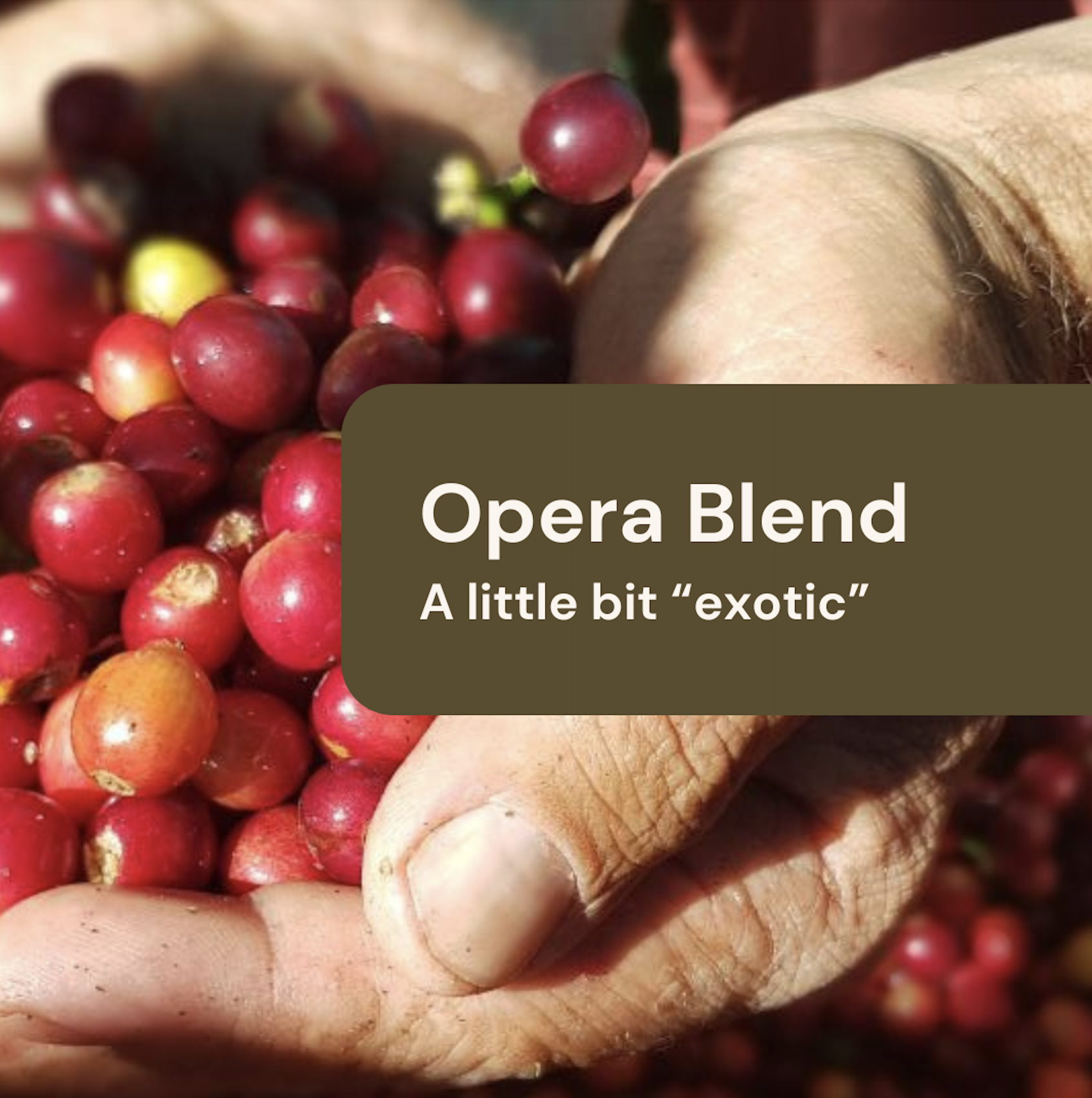 Opera Blend